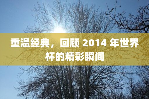 重温经典，回顾 2014 年世界杯的精彩瞬间