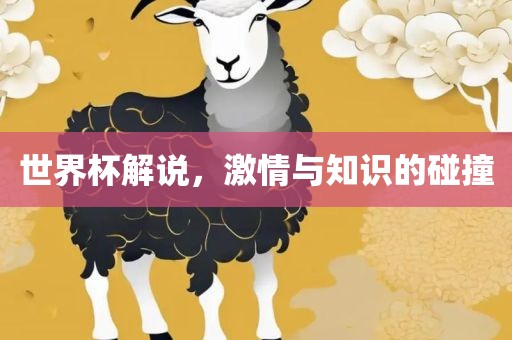 世界杯解说，激情与知识的碰撞