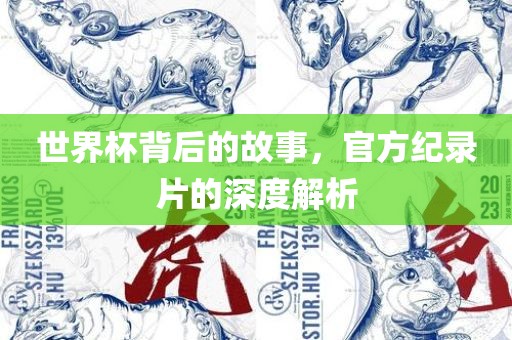 世界杯背后的故事，官方纪录片的深度解析