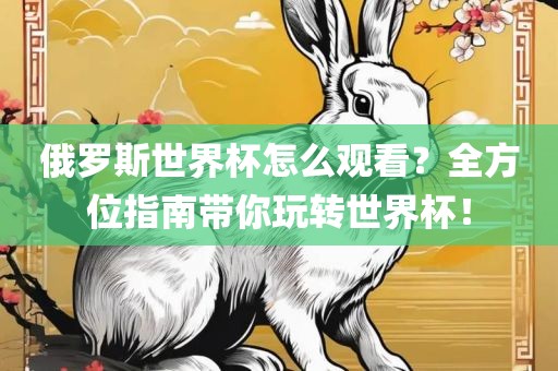 俄罗斯世界杯怎么观看？全方位指南带你玩转世界杯！