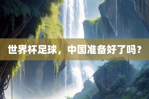 世界杯足球，中国准备好了吗？