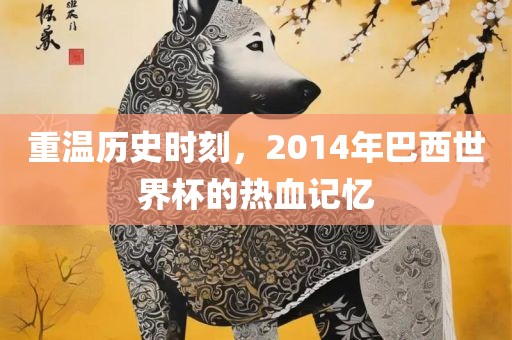 重温历史时刻，2014年巴西世界杯的热血记忆