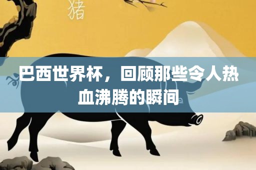 巴西世界杯，回顾那些令人热血沸腾的瞬间