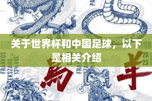 关于世界杯和中国足球，以下是相关介绍