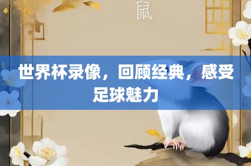 世界杯录像，回顾经典，感受足球魅力