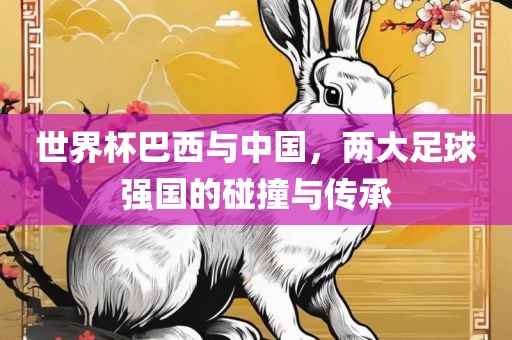 世界杯巴西与中国，两大足球强国的碰撞与传承
