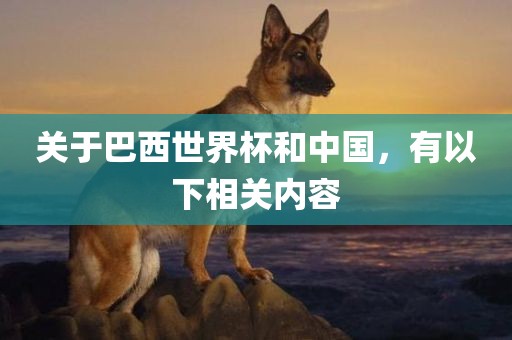 关于巴西世界杯和中国，有以下相关内容