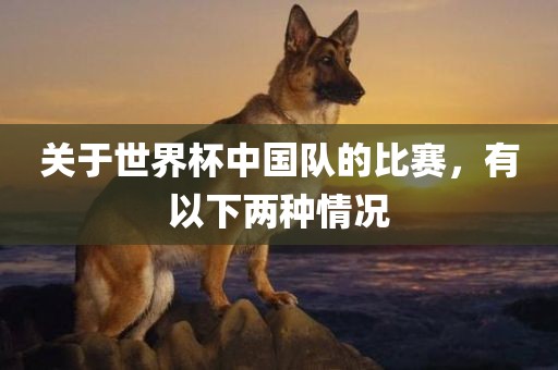 关于世界杯中国队的比赛，有以下两种情况