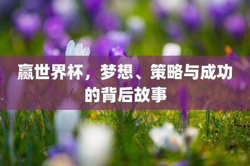 赢世界杯，梦想、策略与成功的背后故事