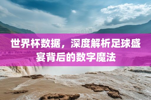 世界杯数据，深度解析足球盛宴背后的数字魔法