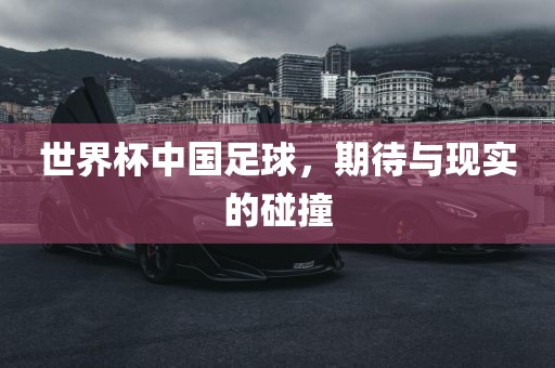 世界杯中国足球，期待与现实的碰撞