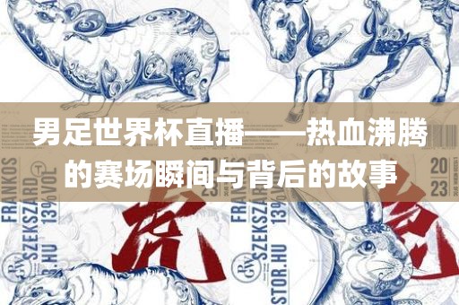 男足世界杯直播——热血沸腾的赛场瞬间与背后的故事