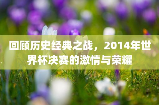 回顾历史经典之战，2014年世界杯决赛的激情与荣耀