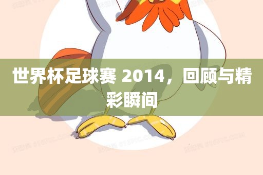 世界杯足球赛 2014，回顾与精彩瞬间