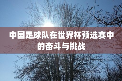 中国足球队在世界杯预选赛中的奋斗与挑战