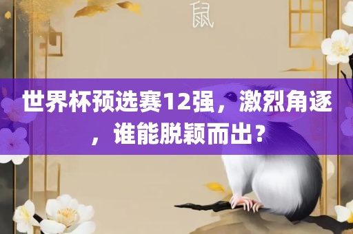 世界杯预选赛12强，激烈角逐，谁能脱颖而出？