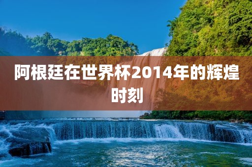 阿根廷在世界杯2014年的辉煌时刻