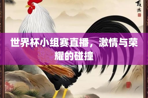世界杯小组赛直播，激情与荣耀的碰撞