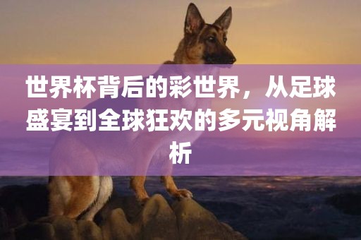 世界杯背后的彩世界，从足球盛宴到全球狂欢的多元视角解析