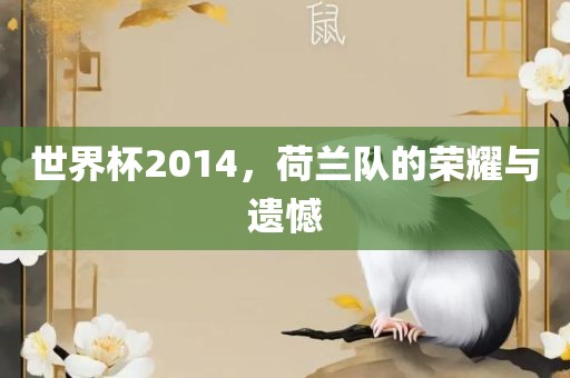 世界杯2014，荷兰队的荣耀与遗憾