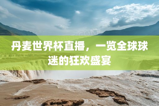 丹麦世界杯直播，一览全球球迷的狂欢盛宴
