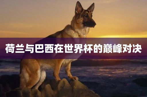 荷兰与巴西在世界杯的巅峰对决