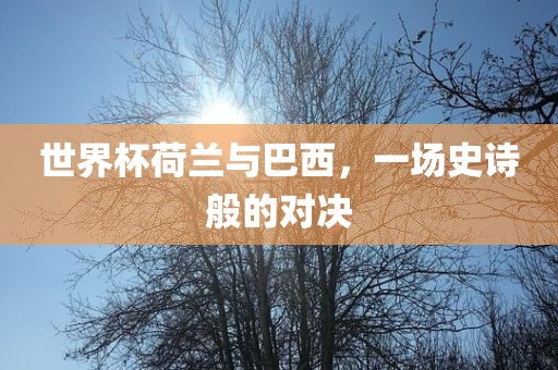 世界杯荷兰与巴西，一场史诗般的对决