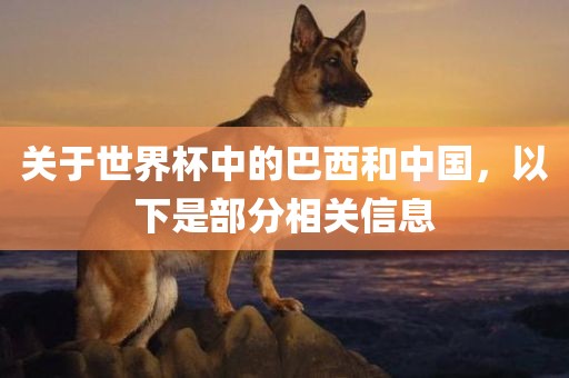 关于世界杯中的巴西和中国，以下是部分相关信息