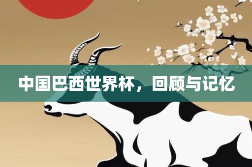 中国巴西世界杯，回顾与记忆