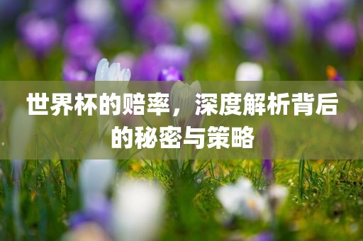 世界杯的赔率，深度解析背后的秘密与策略