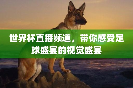 世界杯直播频道，带你感受足球盛宴的视觉盛宴
