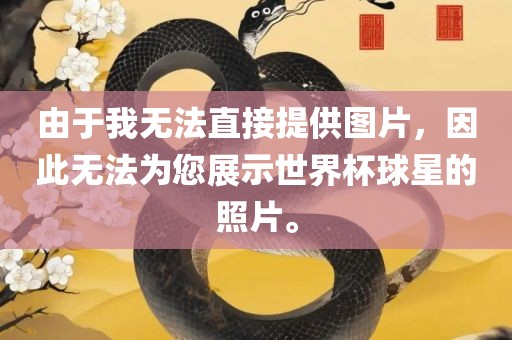 由于我无法直接提供图片，因此无法为您展示世界杯球星的照片。