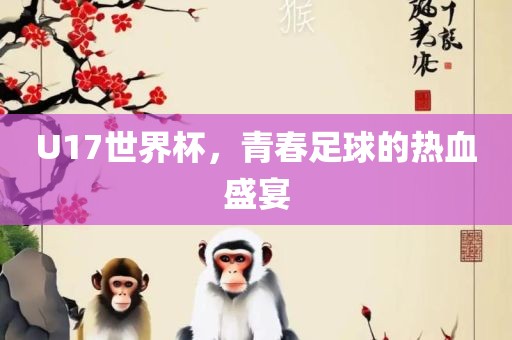 U17世界杯，青春足球的热血盛宴