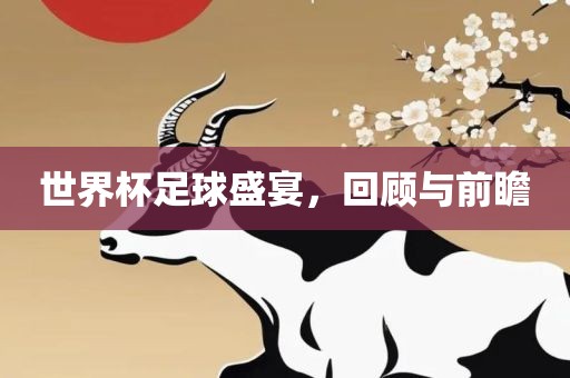 世界杯足球盛宴，回顾与前瞻