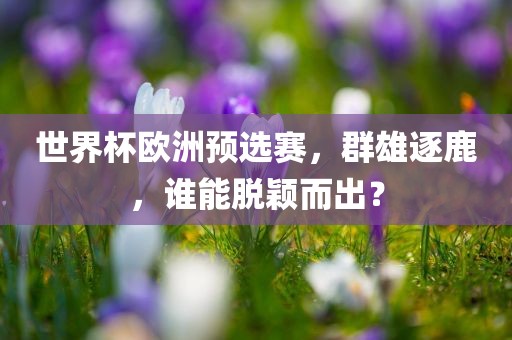 世界杯欧洲预选赛，群雄逐鹿，谁能脱颖而出？