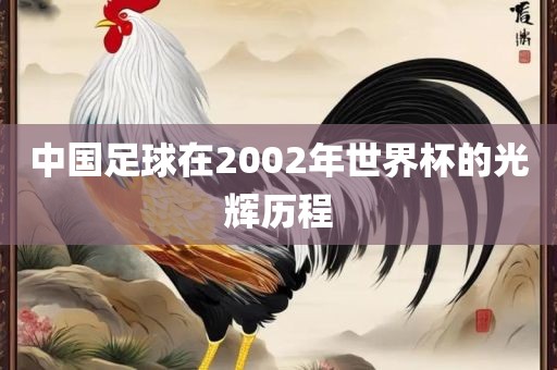 中国足球在2002年世界杯的光辉历程