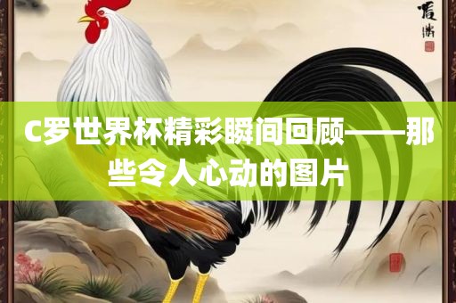 C罗世界杯精彩瞬间回顾——那些令人心动的图片眉山市正发家政服务有限公司