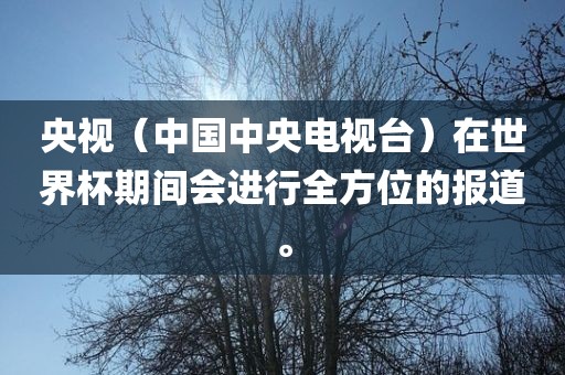 央视（中国中央电视台）在世界杯期间会进行全方位的报道。