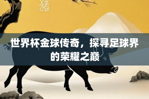 世界杯金球传奇，探寻足球界的荣耀之巅