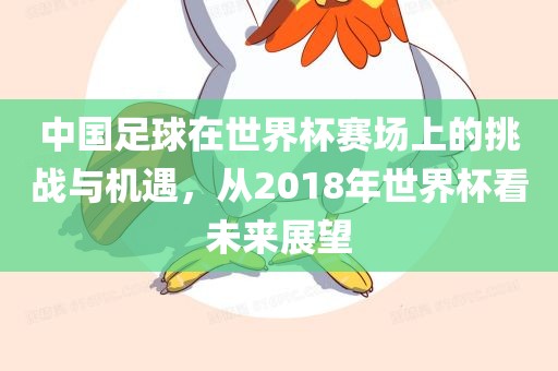 中国足球在世界杯赛场上的挑战与机遇，从2018年世界杯看未来展望