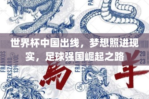 世界杯中国出线，梦想照进现实，足球强国崛起之路