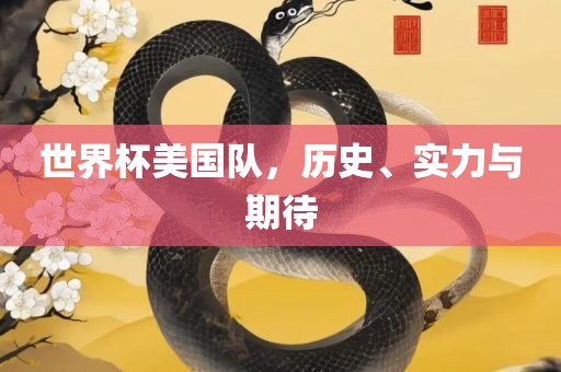 世界杯美国队，历史、实力与期待