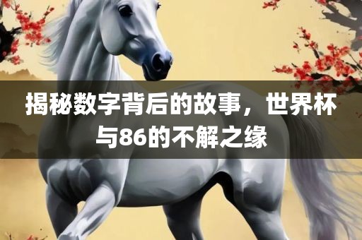 揭秘数字背后的故事，世界杯与86的不解之缘