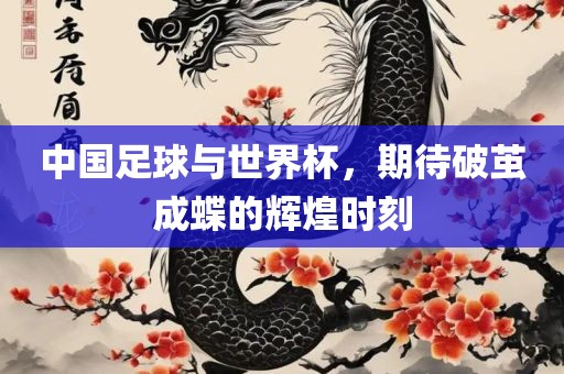 中国足球与世界杯，期待破茧成蝶的辉煌时刻