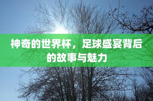 神奇的世界杯，足球盛宴背后的故事与魅力