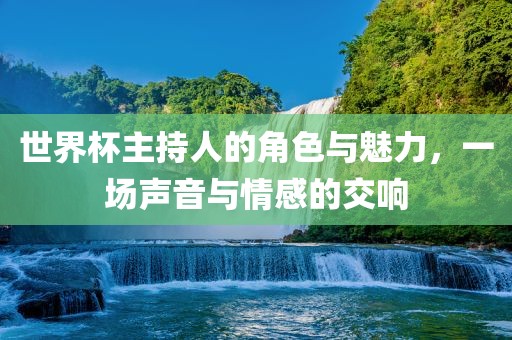 世界杯主持人的角色与魅力，一场声音与情感的交响