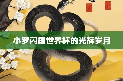 小罗闪耀世界杯的光辉岁月