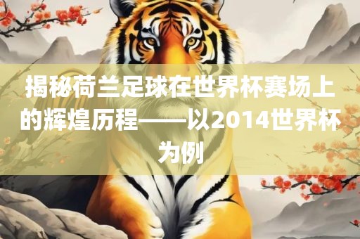 揭秘荷兰足球在世界杯赛场上的辉煌历程——以2014世界杯为例