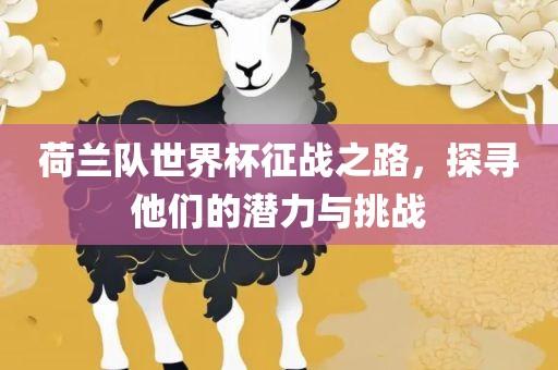 荷兰队世界杯征战之路，探寻他们的潜力与挑战
