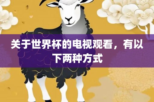 关于世界杯的电视观看，有以下两种方式